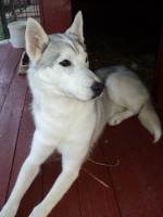 /album/fotogaleria/kler-kupana-2-jpg/